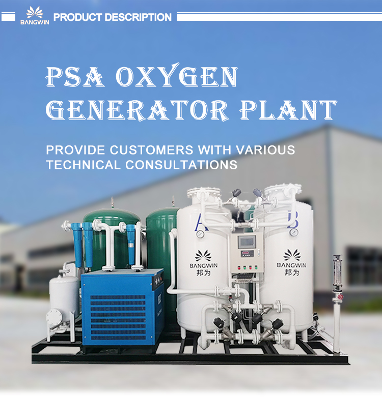 Psa oxygen plant